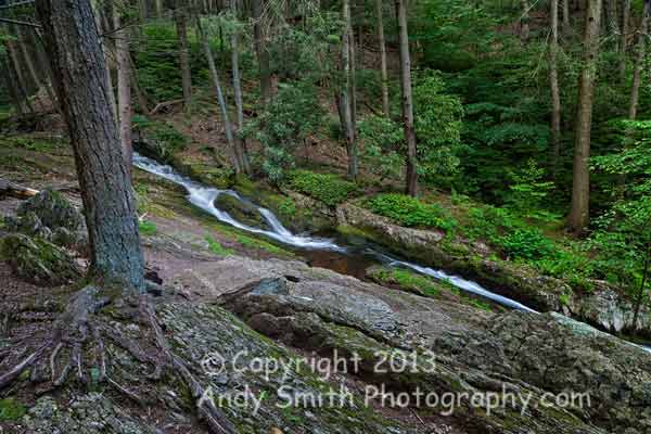 Tillman Ravine Falls from Above